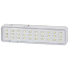 Светильник светодиодный DBA-101-0-20 30LED 5ч IP20 аварийный непостоянный Эра Б0044394