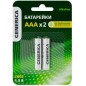 Элемент питания алкалиновый AAA/LR03 Alkaline (блист.2шт) GENERICA ABT-LR03-ST-L02-G