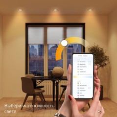 Светильник светодиодный Smart Home 16Вт 2700К IP20 1500лм 220-240В ДВО диммир. управление по Wi-Fi б